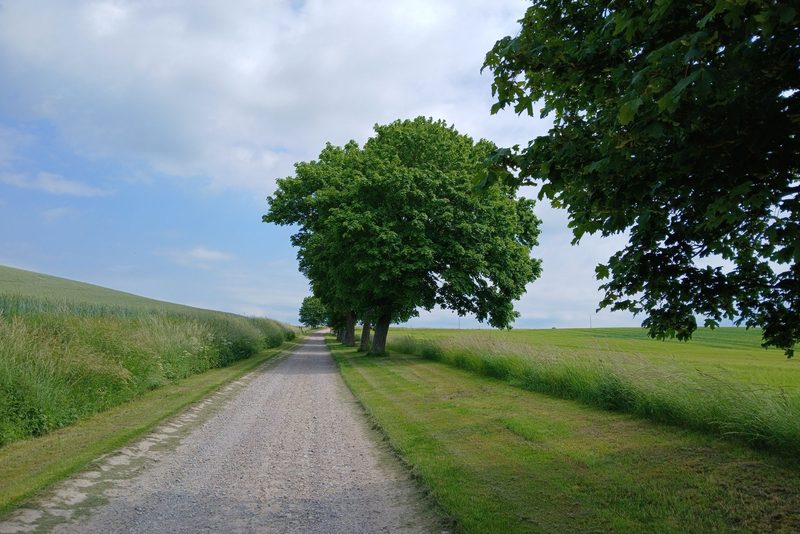 Rekonstrukce polní cesty pro obec – Březová nad Svitavou, Drť 32/63 + 0/32, 3,5 × 420 m, 2 propustky
