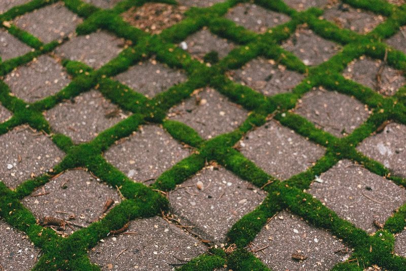 Parkovací stání ze zatravňovacích tvárnic – Ústí nad Orlicí, Betonové tvárnice, drť 25 cm, 2 stání 5 × 5 m